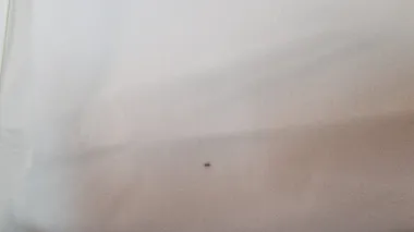 Pantaloni de trening albi cu defect DEF800 D4-5.4