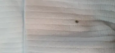 Helanca barbati alba slim fit cu defect 2746 119-3