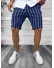 Pantaloni scurti casual cu dungi 13147 O2-6.3