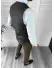 Compleu barbati Vesta + Pantaloni 12788 115-4